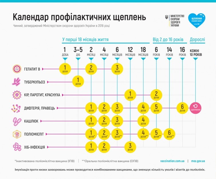 Проведення вакцинації відповідно до календаря щеплень